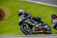 PJ-Motorsport-2019;anglesey;brands-hatch;cadwell-park;croft;donington-park;enduro-digital-images;event-digital-images;eventdigitalimages;mallory;no-limits;oulton-park;peter-wileman-photography;racing-digital-images;silverstone;snetterton;trackday-digital-images;trackday-photos;vmcc-banbury-run;welsh-2-day-enduro
